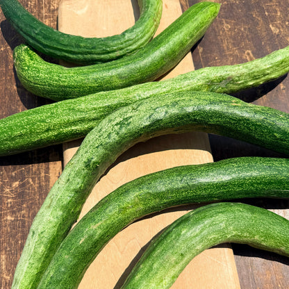Yamato Sanjaku Cucumber