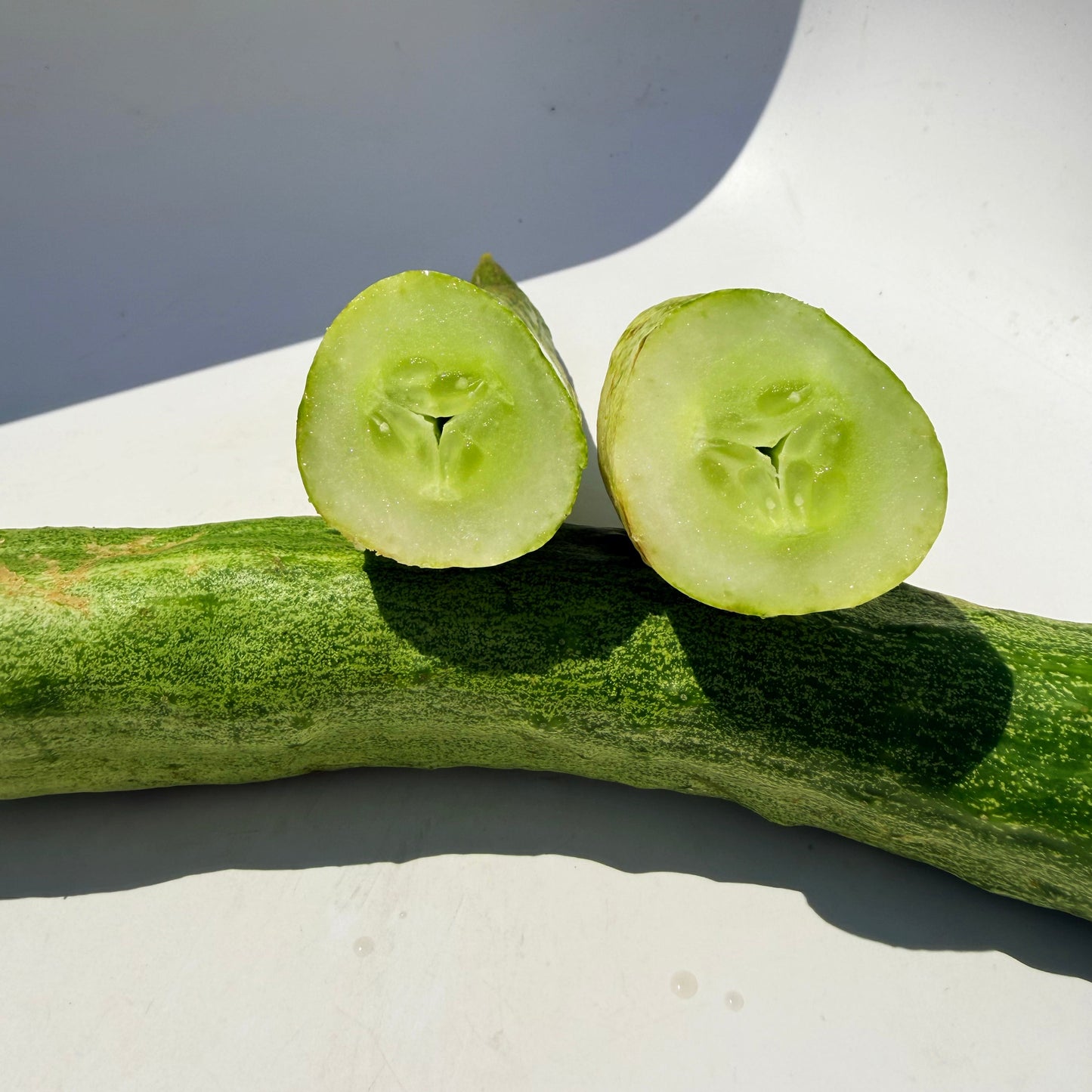 Yamato Sanjaku Cucumber