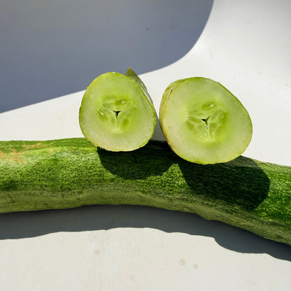 Yamato Sanjaku Cucumber
