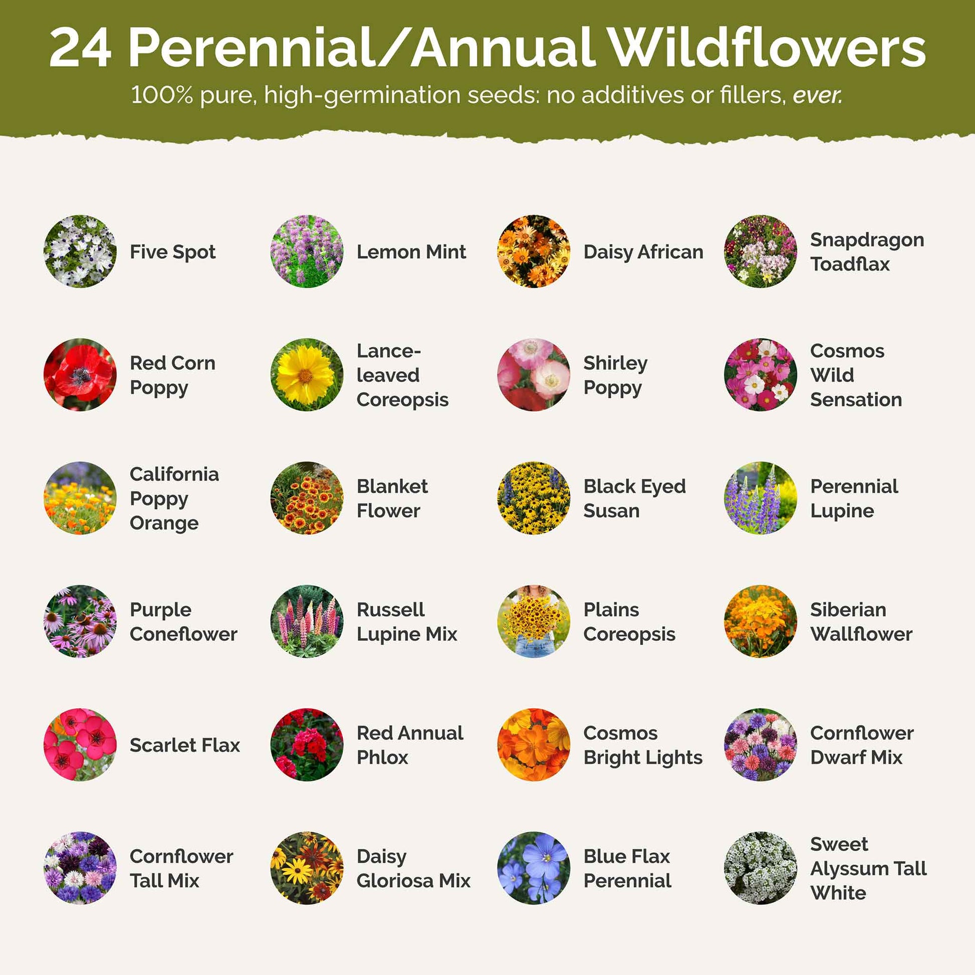 List of flower species and seeds included in the Wildflower Seed Mix.