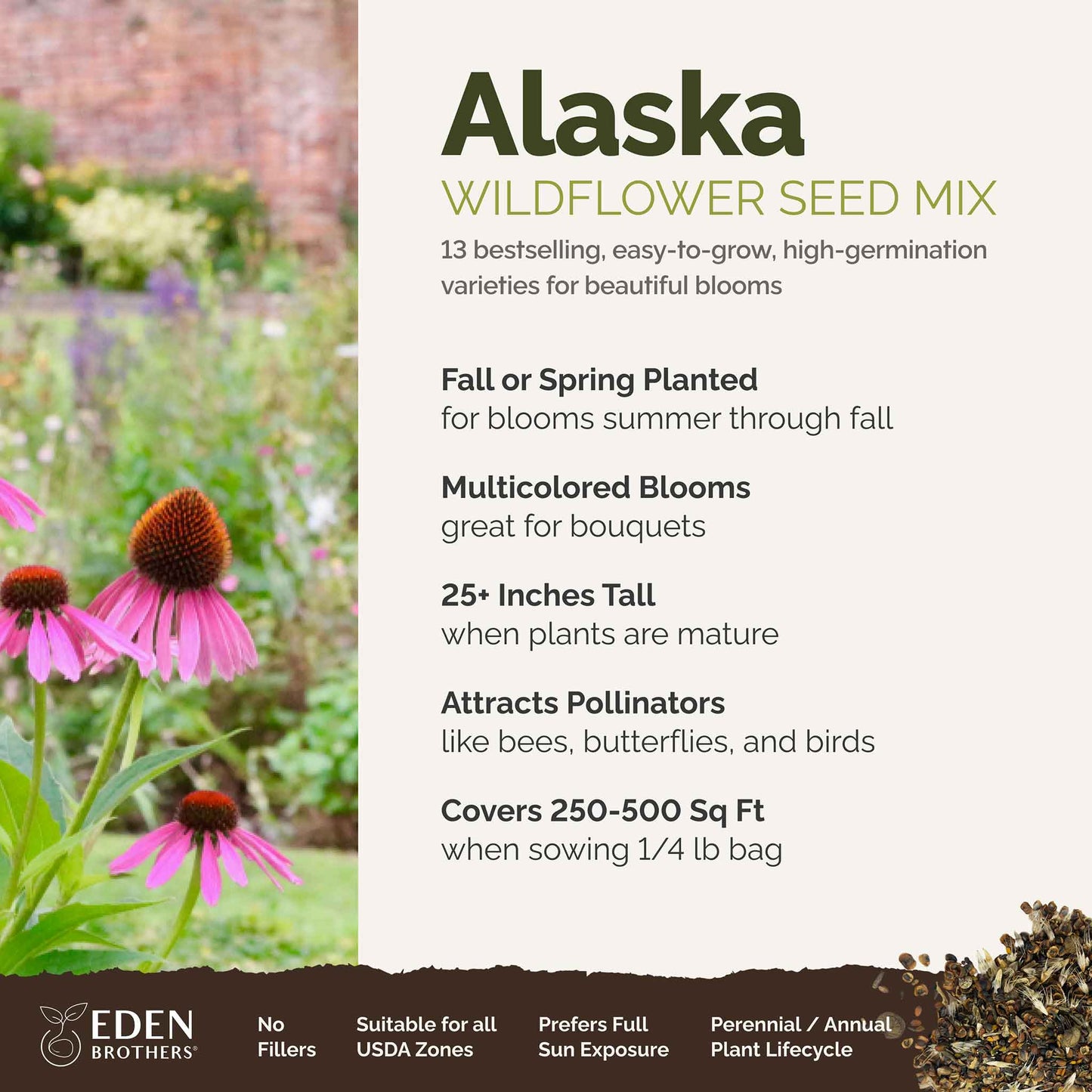 A visual overview of the wildflower seed mix, showcasing expected floral blooms.