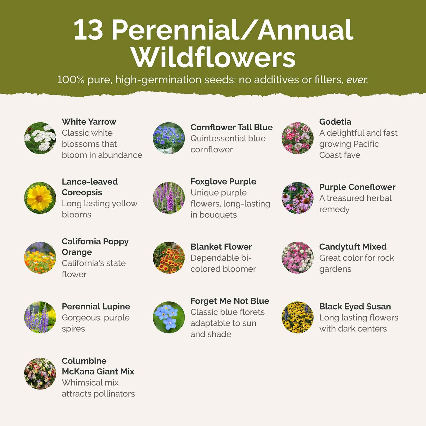List of flower species and seeds included in the Wildflower Seed Mix.