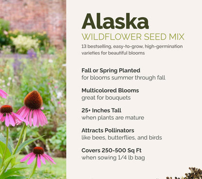 A visual overview of the wildflower seed mix, showcasing expected floral blooms.