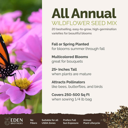 A visual overview of the wildflower seed mix, showcasing expected floral blooms.