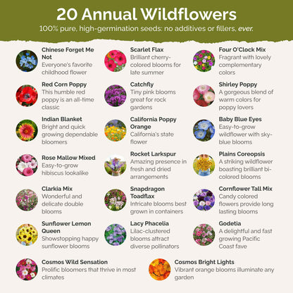 List of flower species and seeds included in the Wildflower Seed Mix.