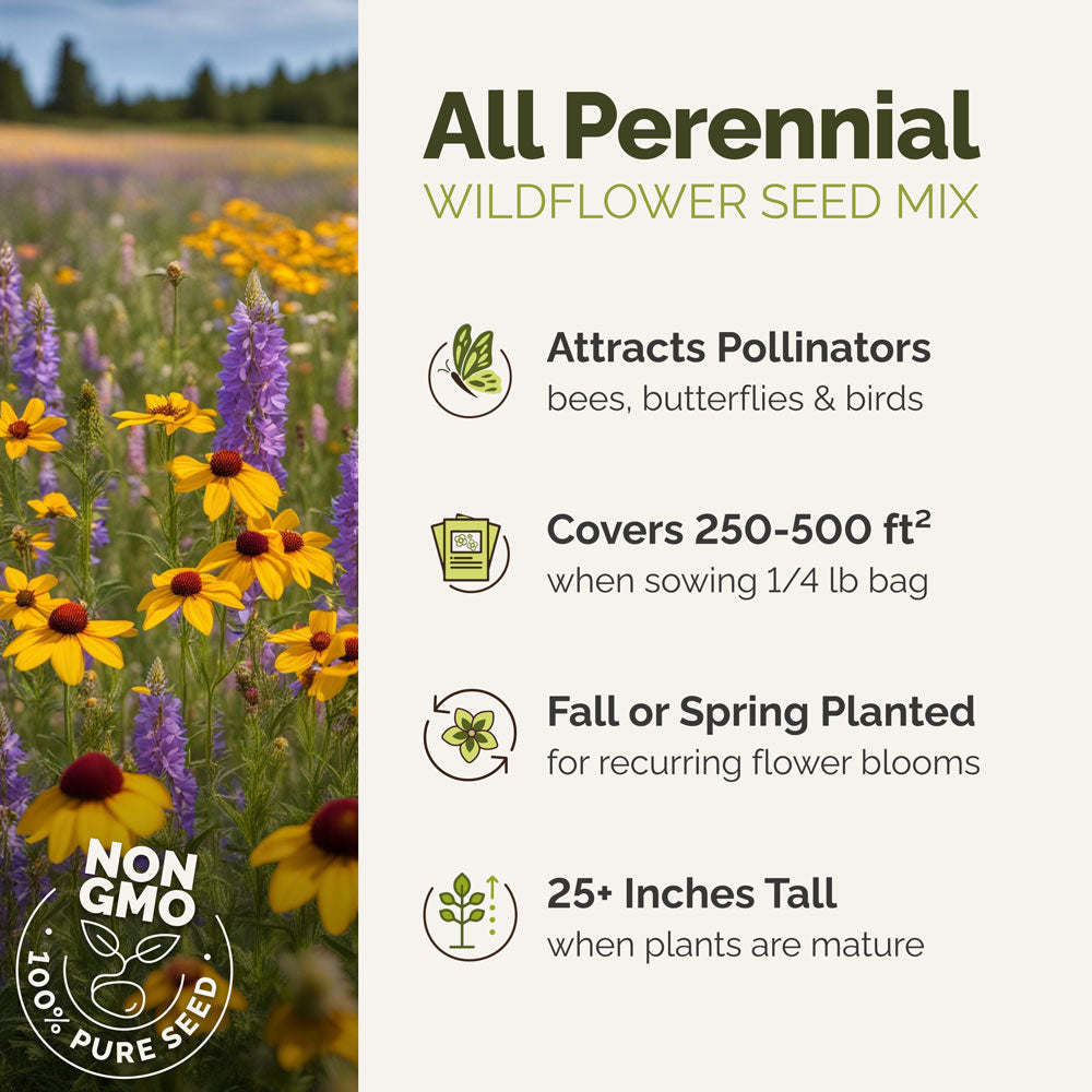 Wildflower seed mix advertisement with field of flowers on the left and text on the right.