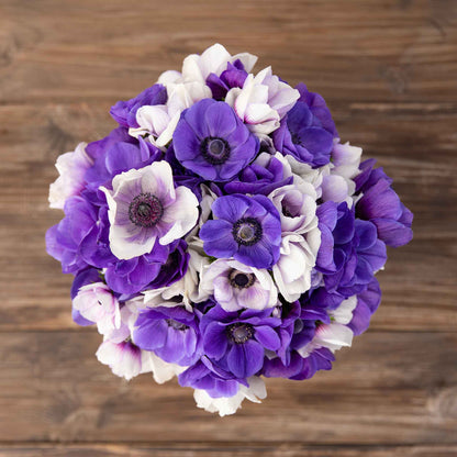 A close up of Midnight Mix Anemone bulbs, showing their vibrant purple and white flowers.  