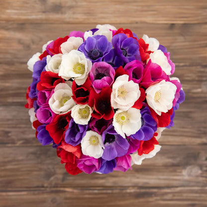 A close up shot of a bouqet of Anemone De Caen mix bulbs.