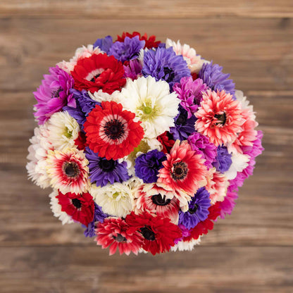 White, purple and red anemone flowers with dark centers, on a wooden table.