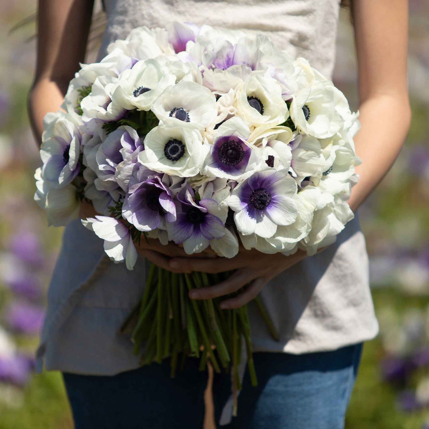 A person holding a bouquet of snow kiss mix anemone flowers in a garden setting.