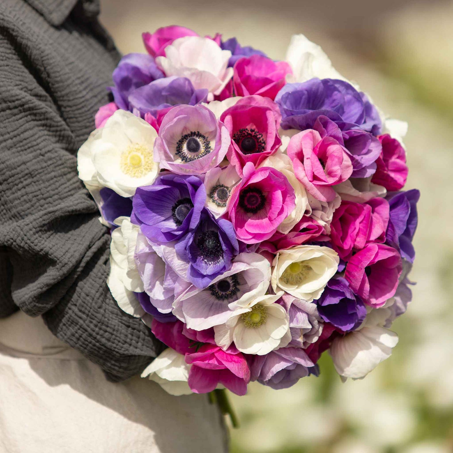 A boquet of First Crush anemone mix flowers, showcasing their pink, purple and white petals.