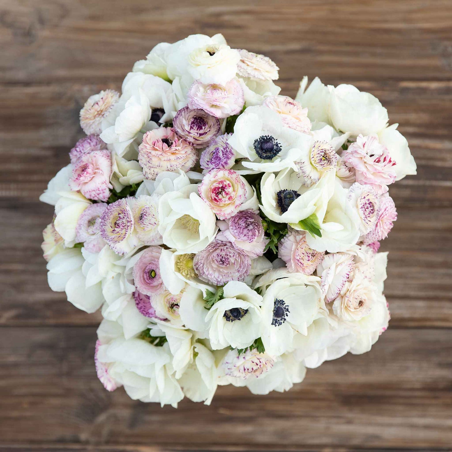 Overhead view of a bouquet of pink, purple, and white Alpine Mix Anemone and Ranunculus Flowers.