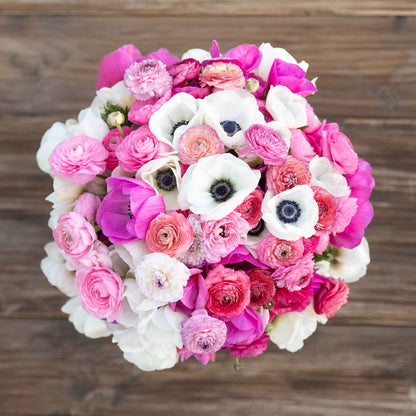 A bouquet of alpine mix anemone and ranunculus bulbs with a variety of pink, white, and red flowers.