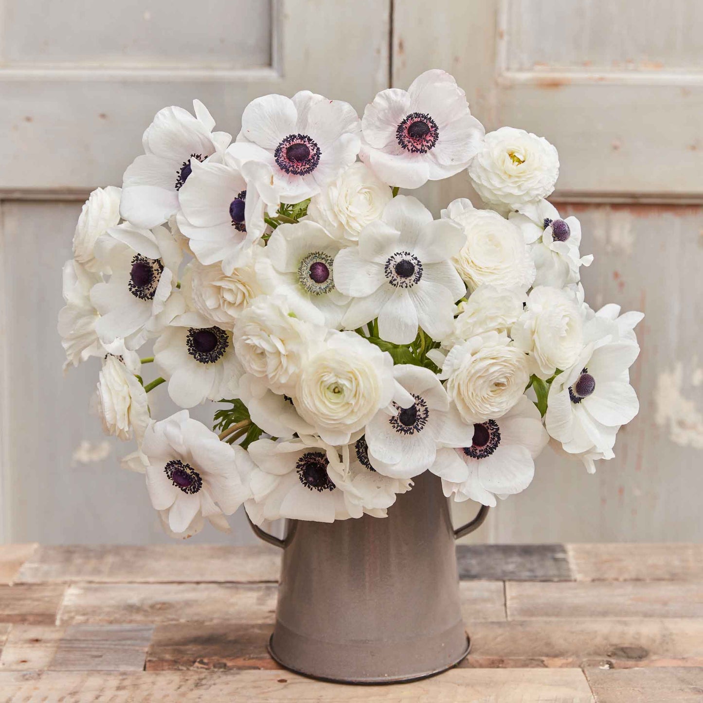 A bouquet of Moonlight Mix anemone and ranunculus flowers with black centers.