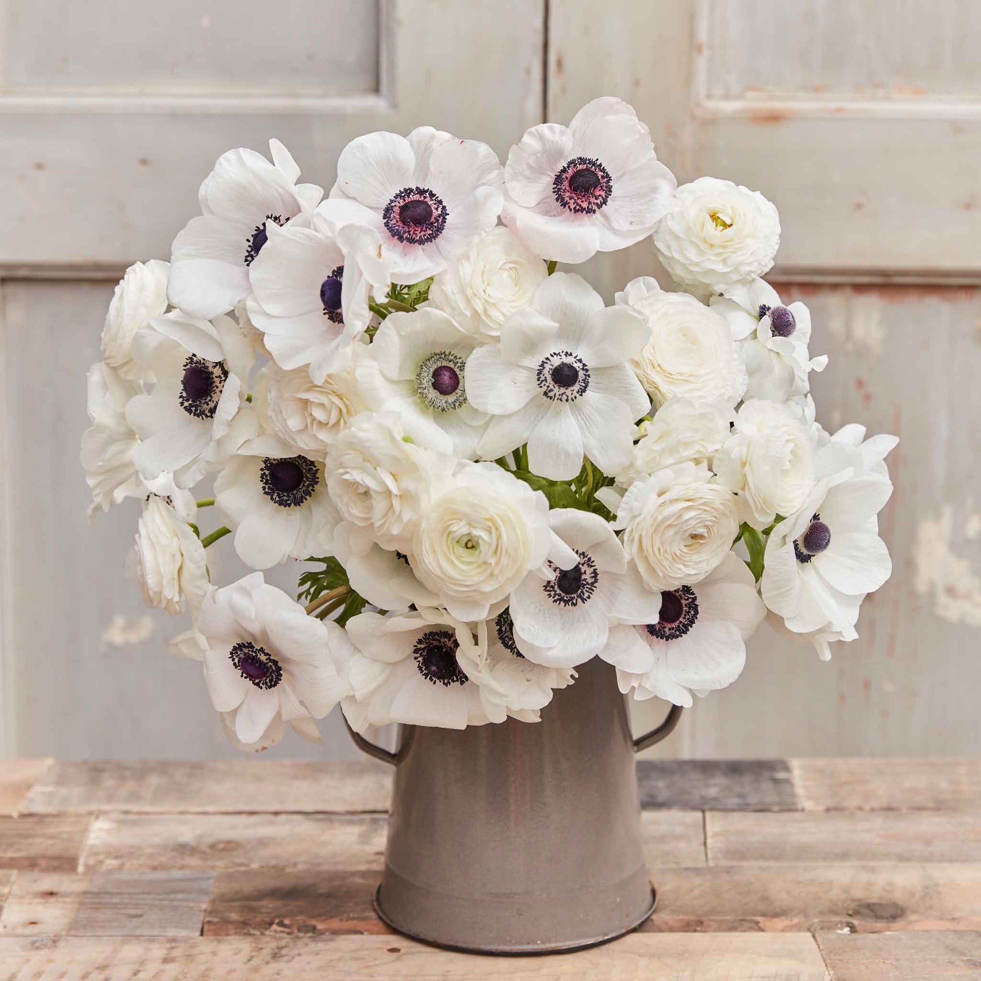 A bouquet of Moonlight Mix anemone and ranunculus flowers with black centers.