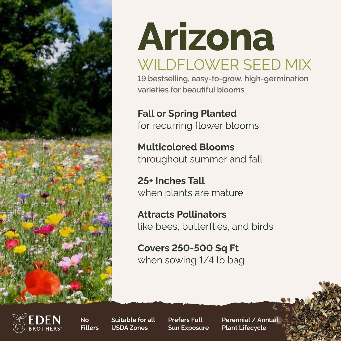 A visual overview of the wildflower seed mix, showcasing expected floral blooms.