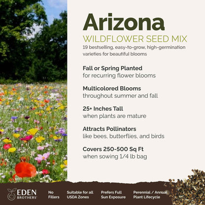 A visual overview of the wildflower seed mix, showcasing expected floral blooms.