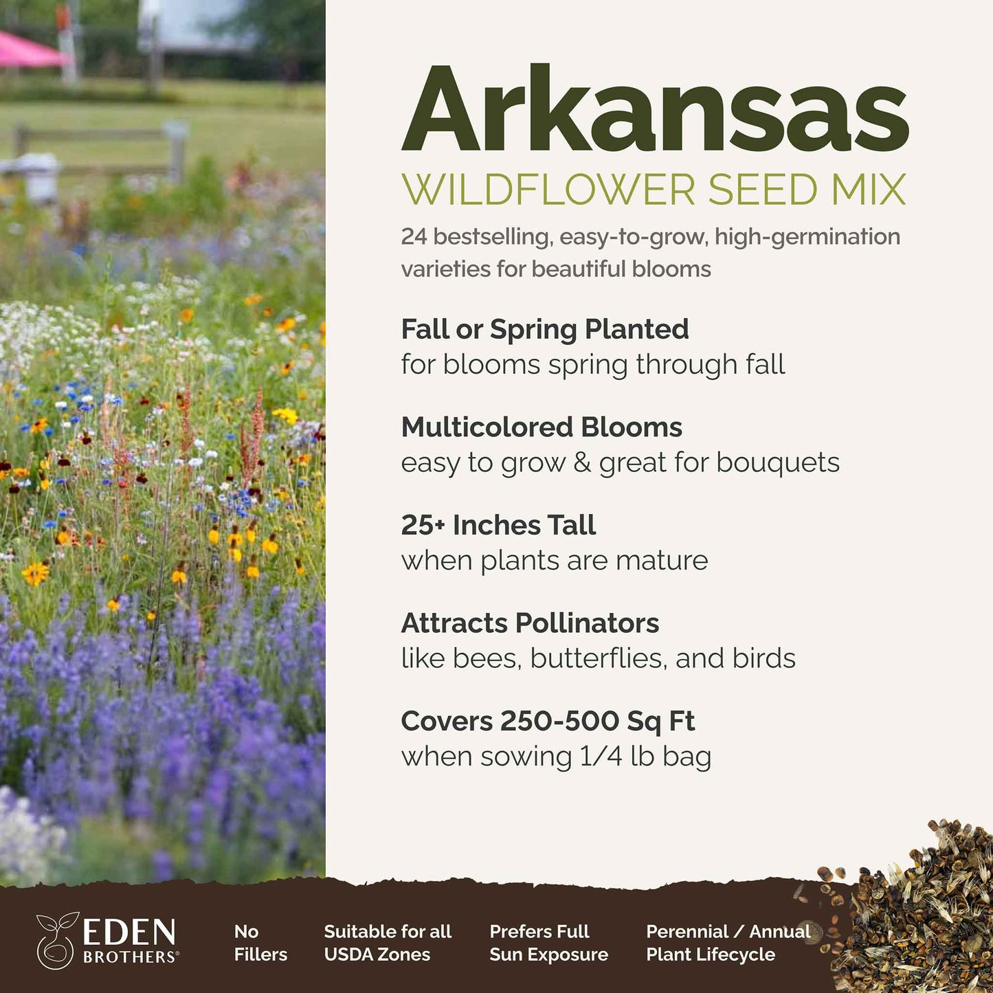 A visual overview of the wildflower seed mix, showcasing expected floral blooms.