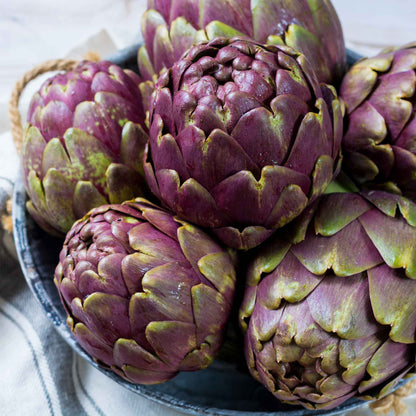 Purple Italian Globe Artichokes on a plate showcasing their purple hues.