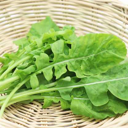 A pile of organic rocket arugula leaves on a wicker basket.