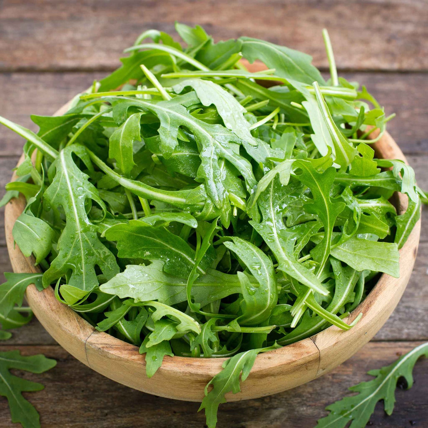 A bowl of freshly harvested wild arugula on a pale green wooden background.