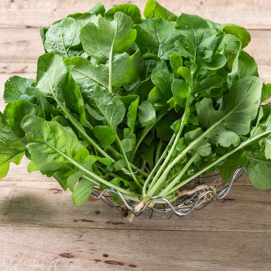 A cluster of arugula rocket freshly harvested on a wooden background.