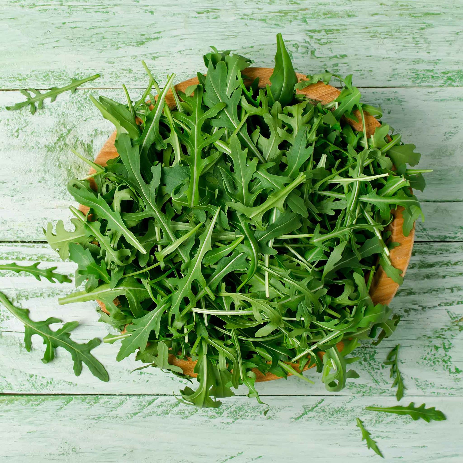 A bowl of freshly harvested wild rocket arugula on a pale green wooden background.