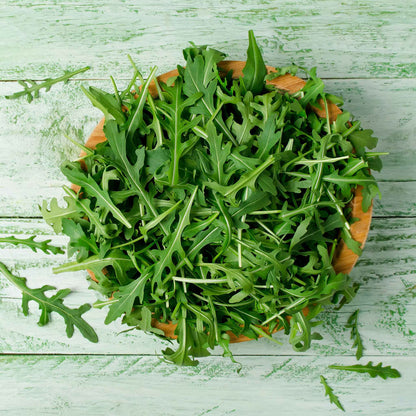 A bowl of freshly harvested wild rocket arugula on a pale green wooden background.
