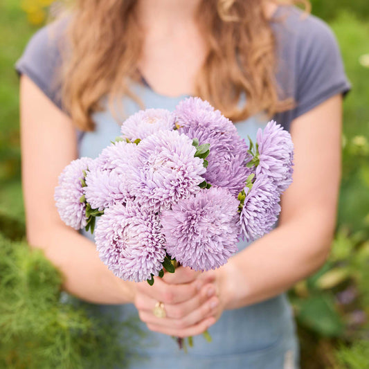 Person holding a bouquet of purple lady coral lavender aster flowers in a natural setting