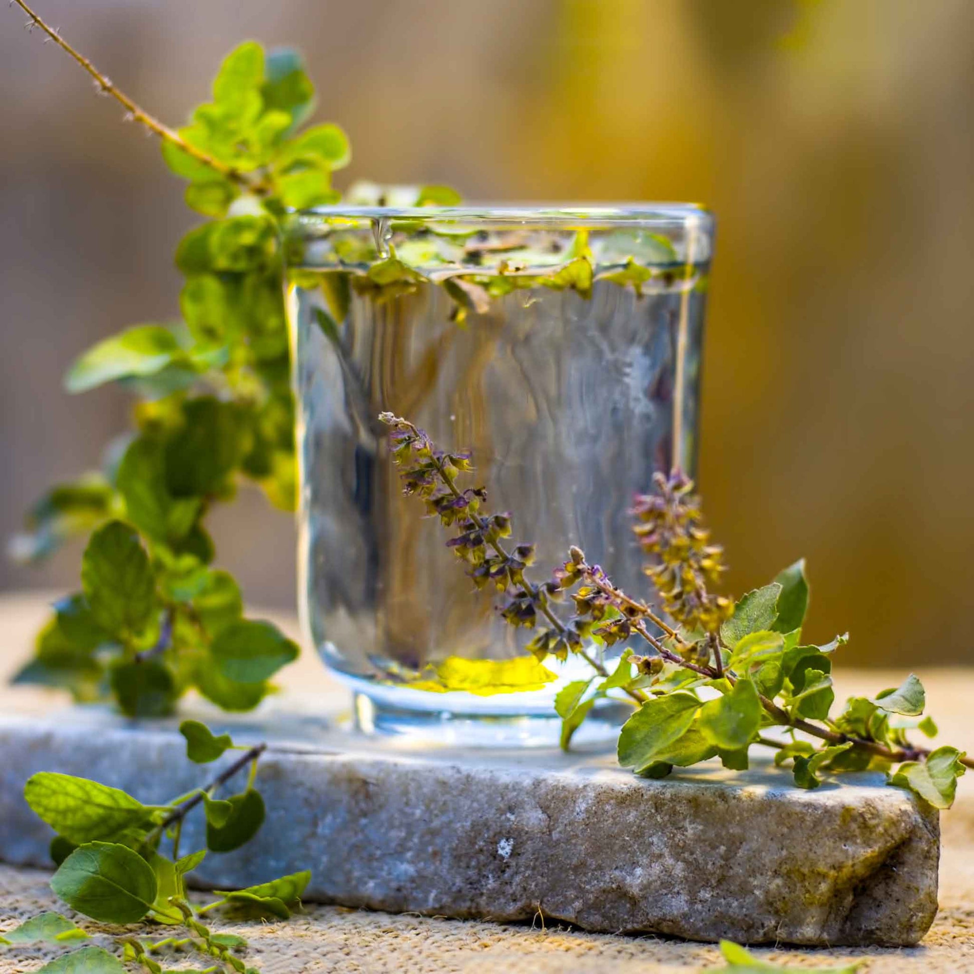 A close-up shot of small, brown basil seeds on a textured surface, steeped in tea.