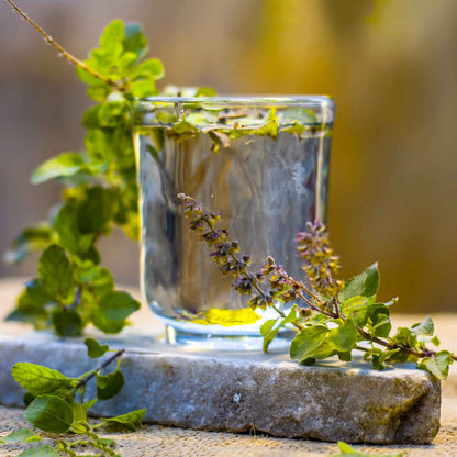 A close-up shot of small, brown basil seeds on a textured surface, steeped in tea.