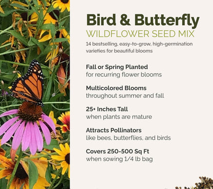 A visual overview of the wildflower seed mix, showcasing expected floral blooms.