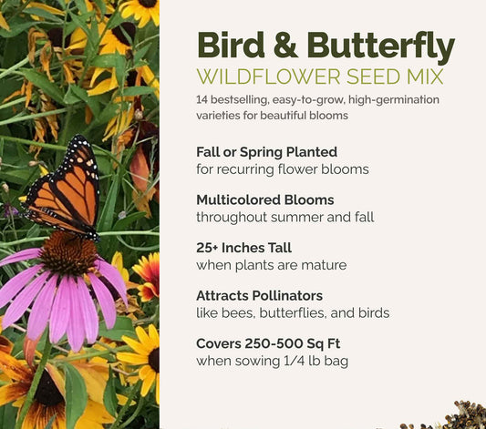 A visual overview of the wildflower seed mix, showcasing expected floral blooms.