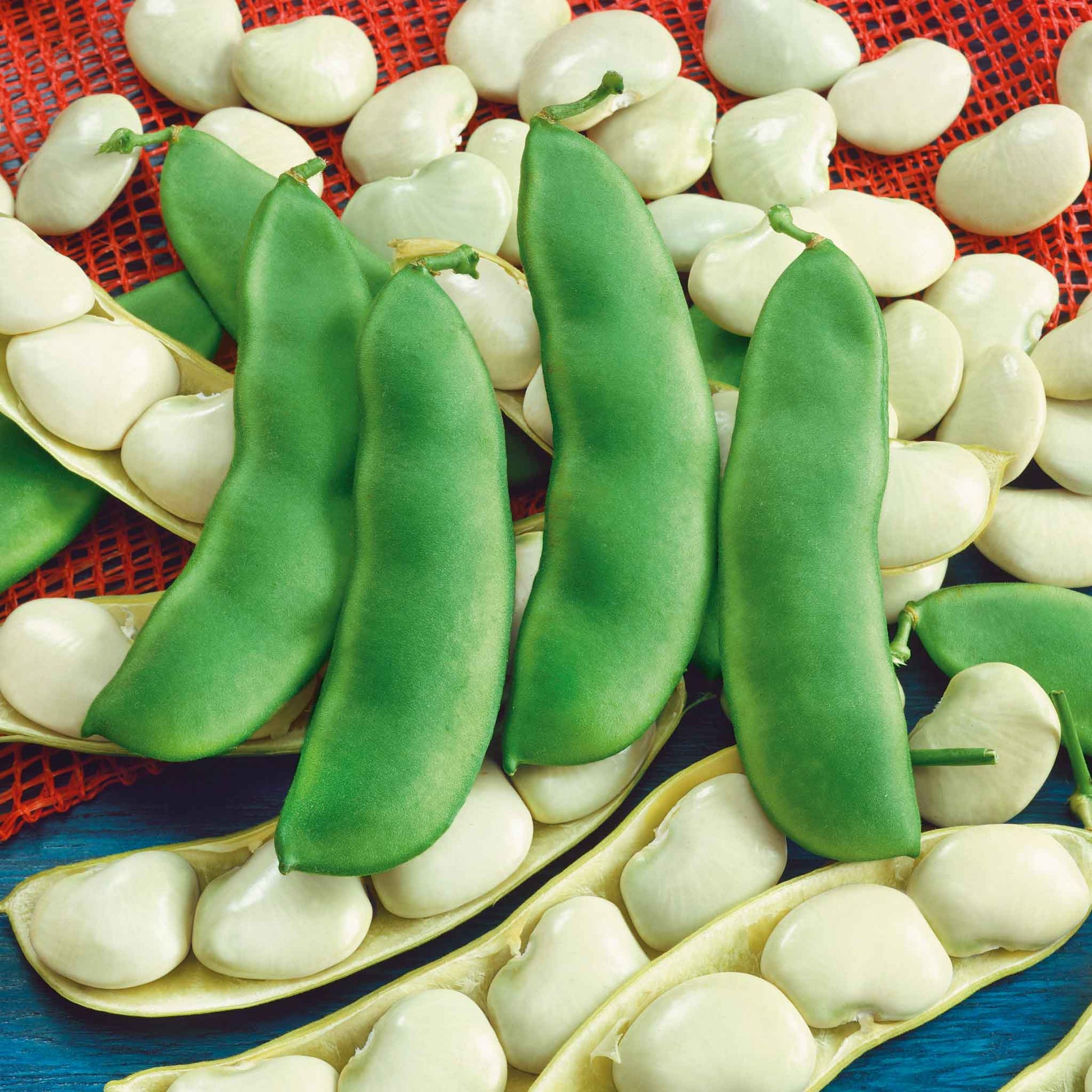 A close-up of several light green early thorogreen bean pods, some still whole, with others shelled to reveal the beans.