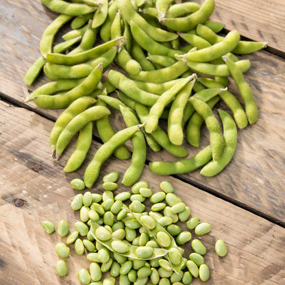 A close-up of harvested edamame pods, some shelled, against a natural background. | copyright: Floramedia UK Ltd