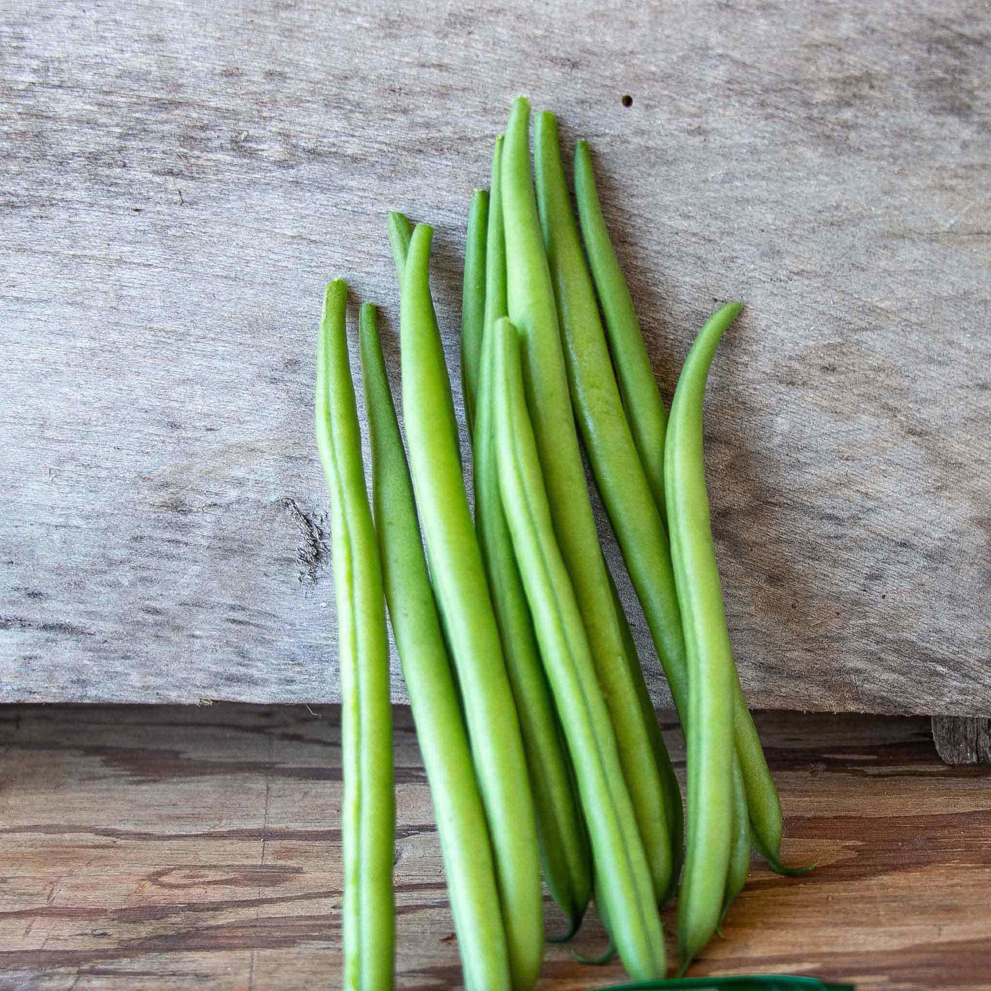 A close-up shot of green Elegance bush bean pods on the vine on a neutral background.