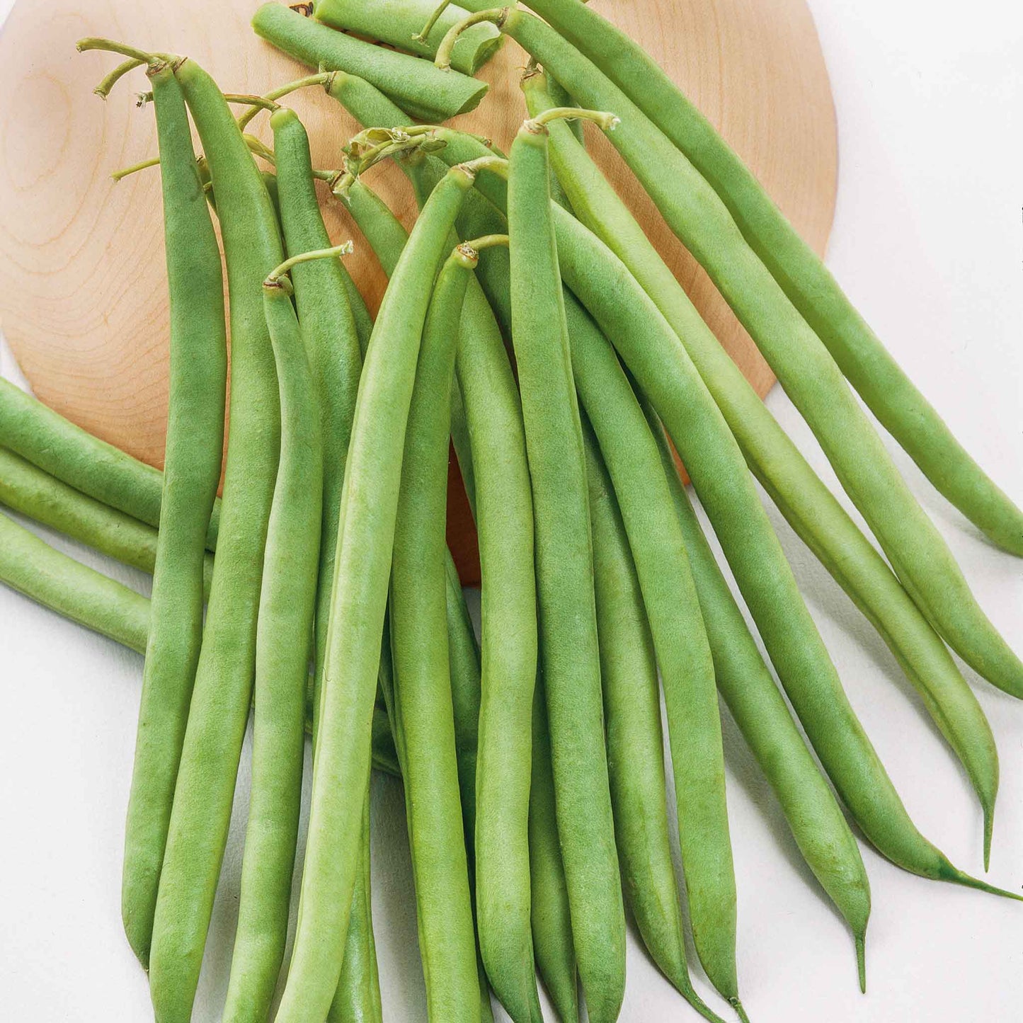 A close-up shot of green landreth stringless bush bean pods on the vine on a neutral background.
