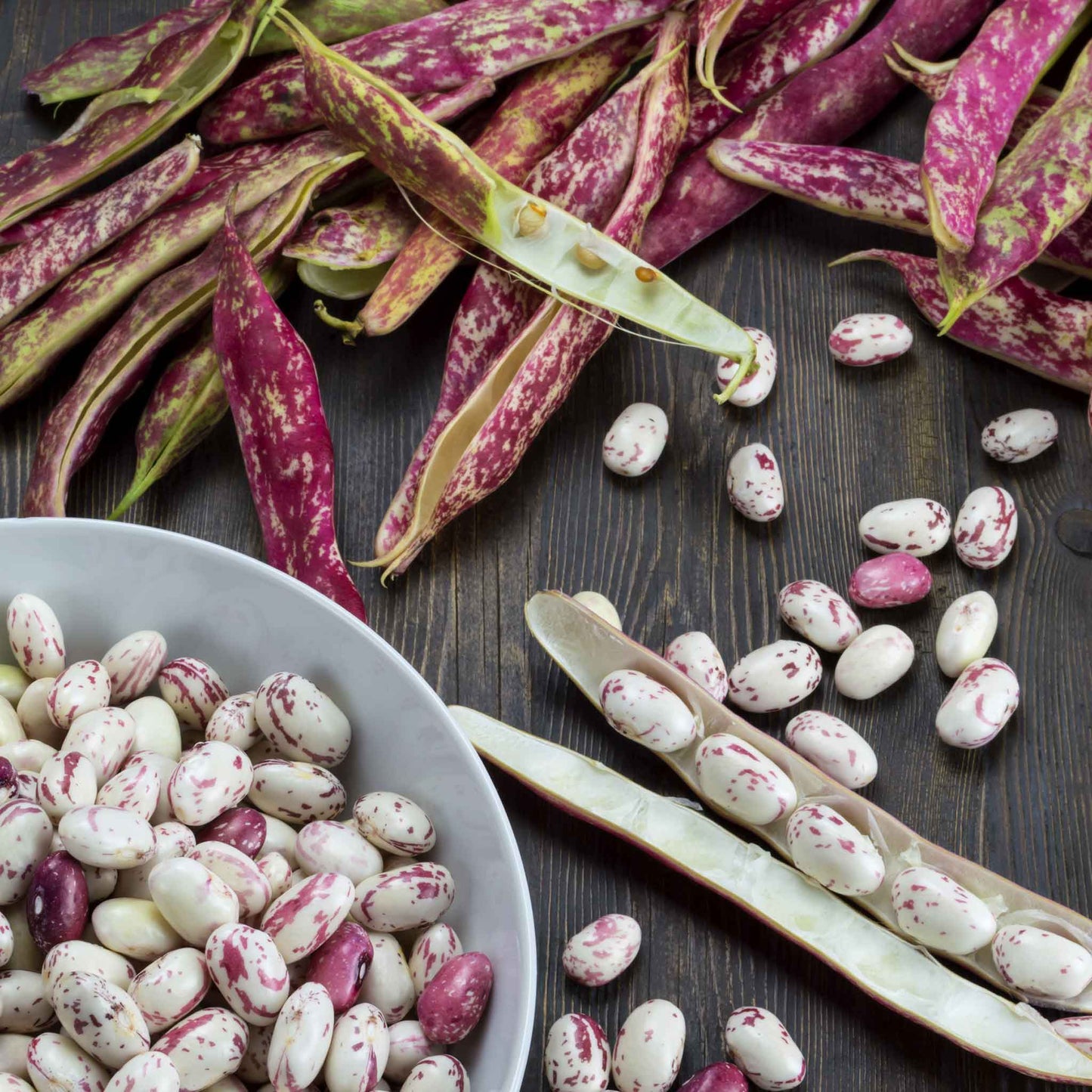 Close-up of a pile of Taylor Dwarf Horticultural beans with a few scattered pods.
