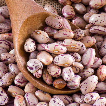 Several dried borlotto beans, some with reddish-brown speckles and some plain, are arranged together.