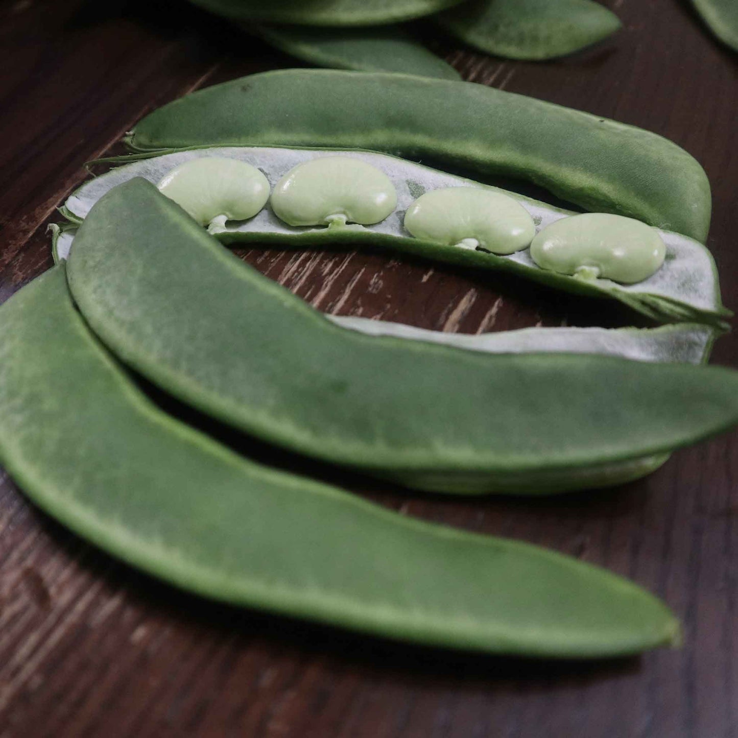 Close-up of burpee improved beans on a dark background, some shelled and some still in the pod.