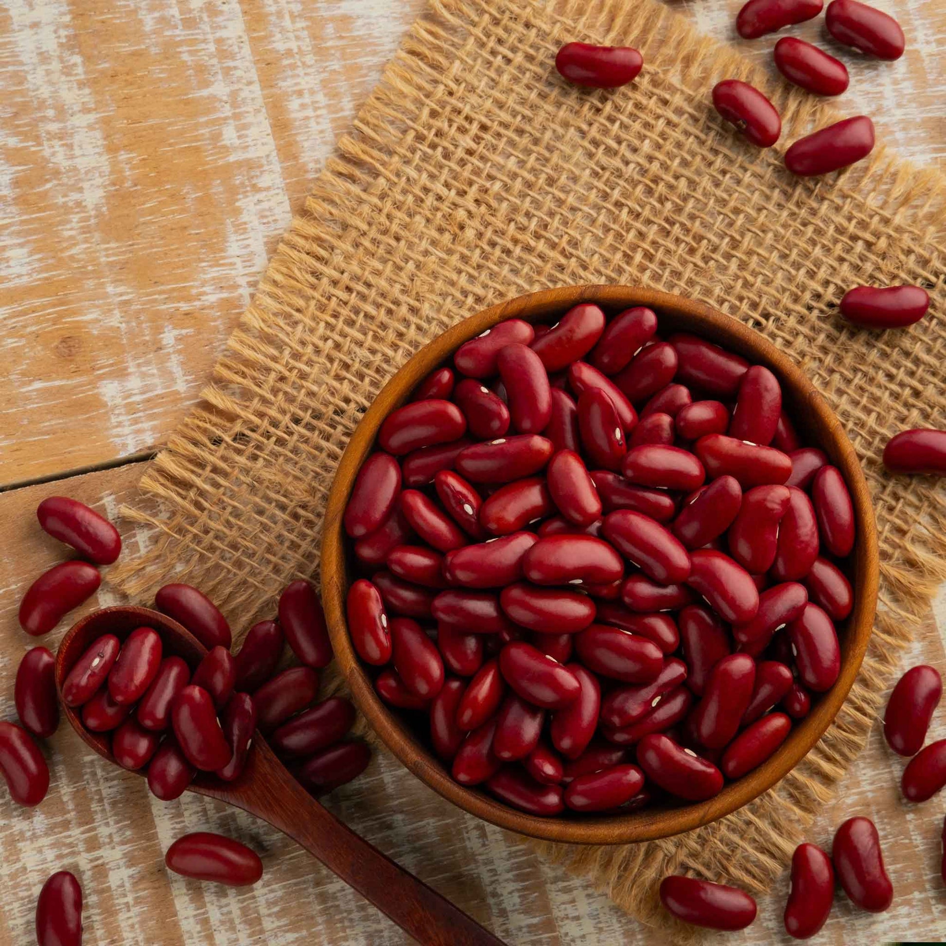 A bowl of shelled dark red kidney beans on a burlap square.