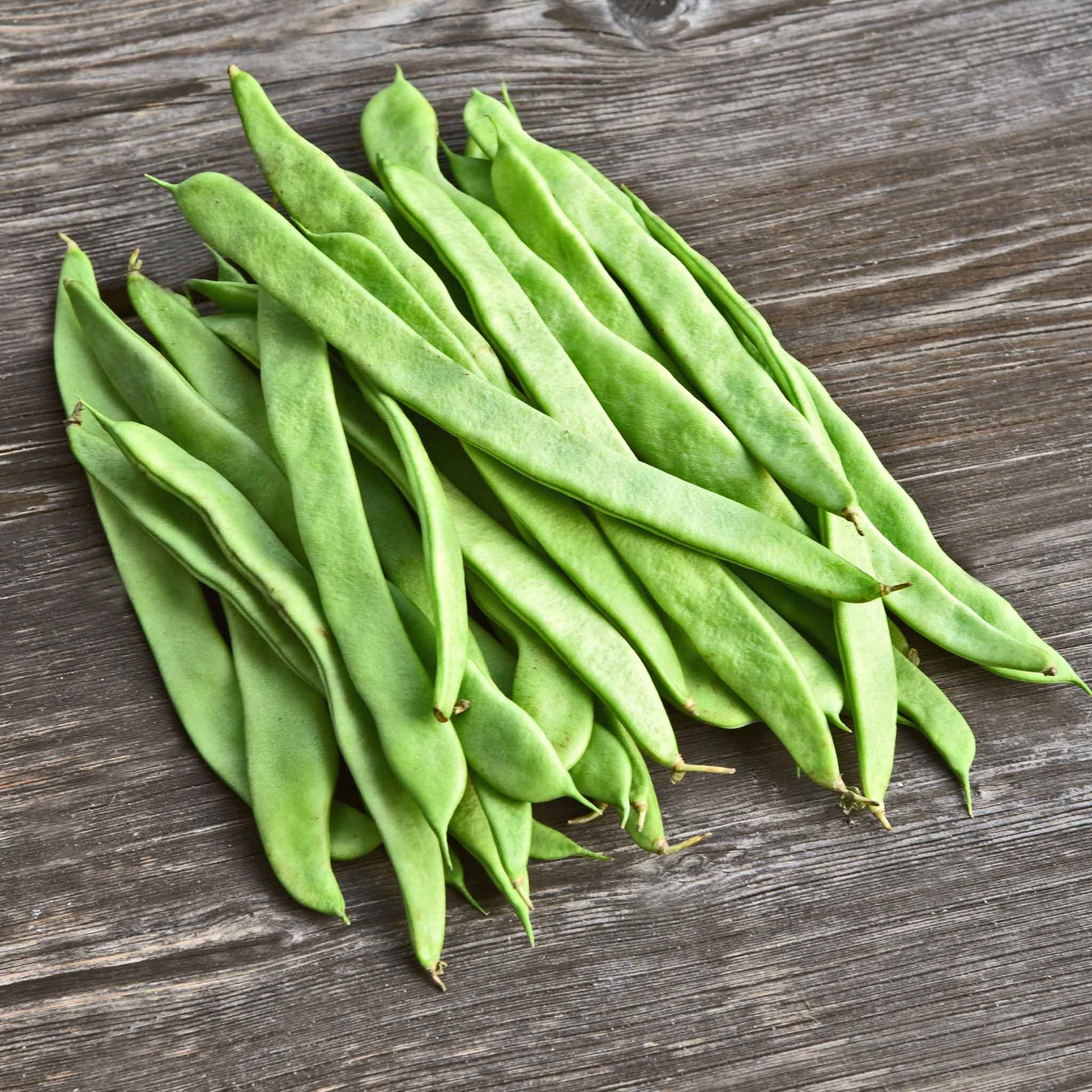 A close-up shot of several green Roma II bean pods on a dark background.