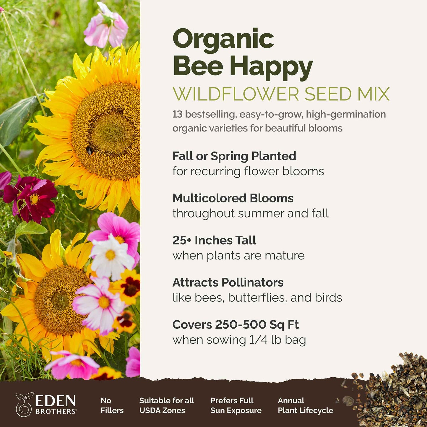 A visual overview of the wildflower seed mix, showcasing expected floral blooms.