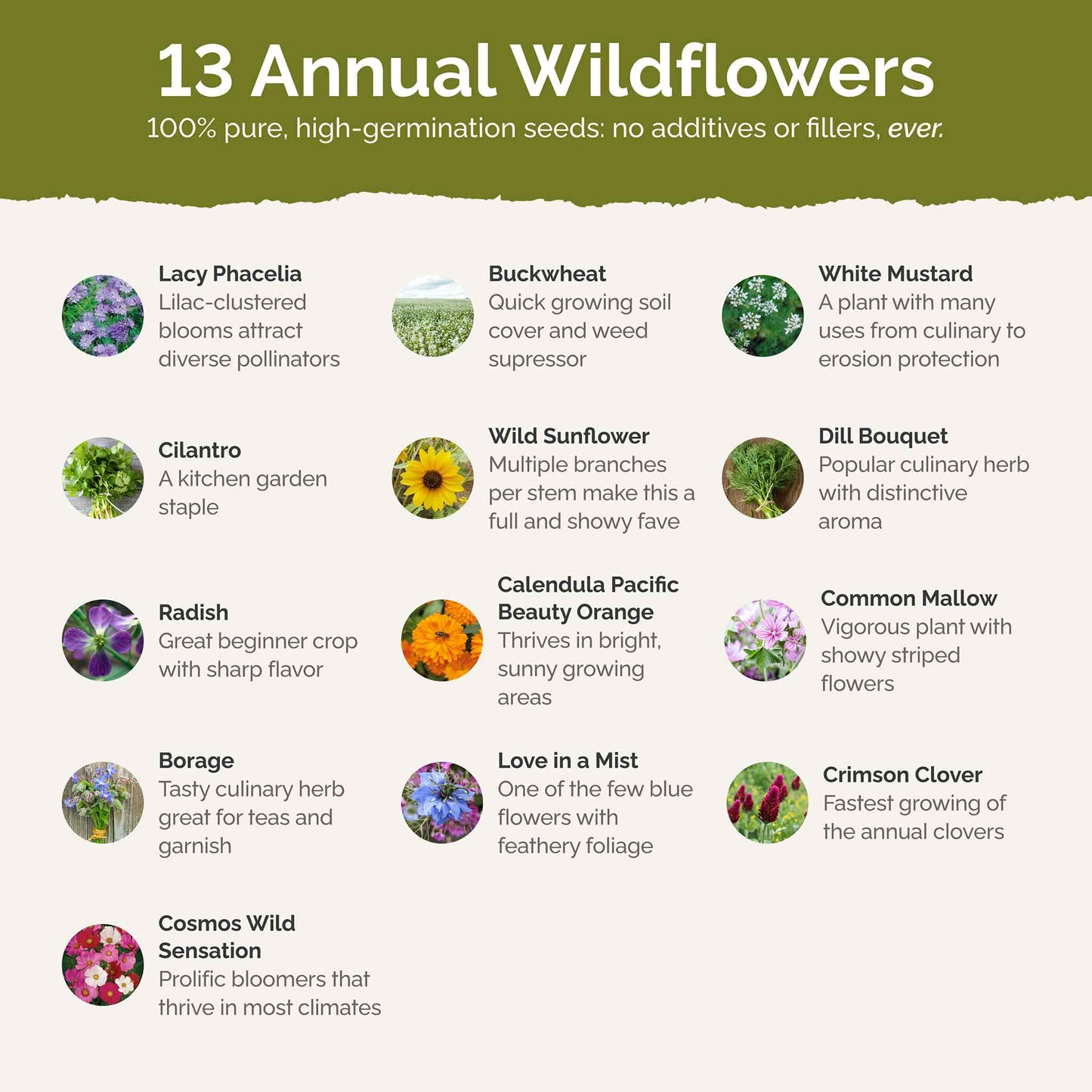 List of flower species and seeds included in the Wildflower Seed Mix.