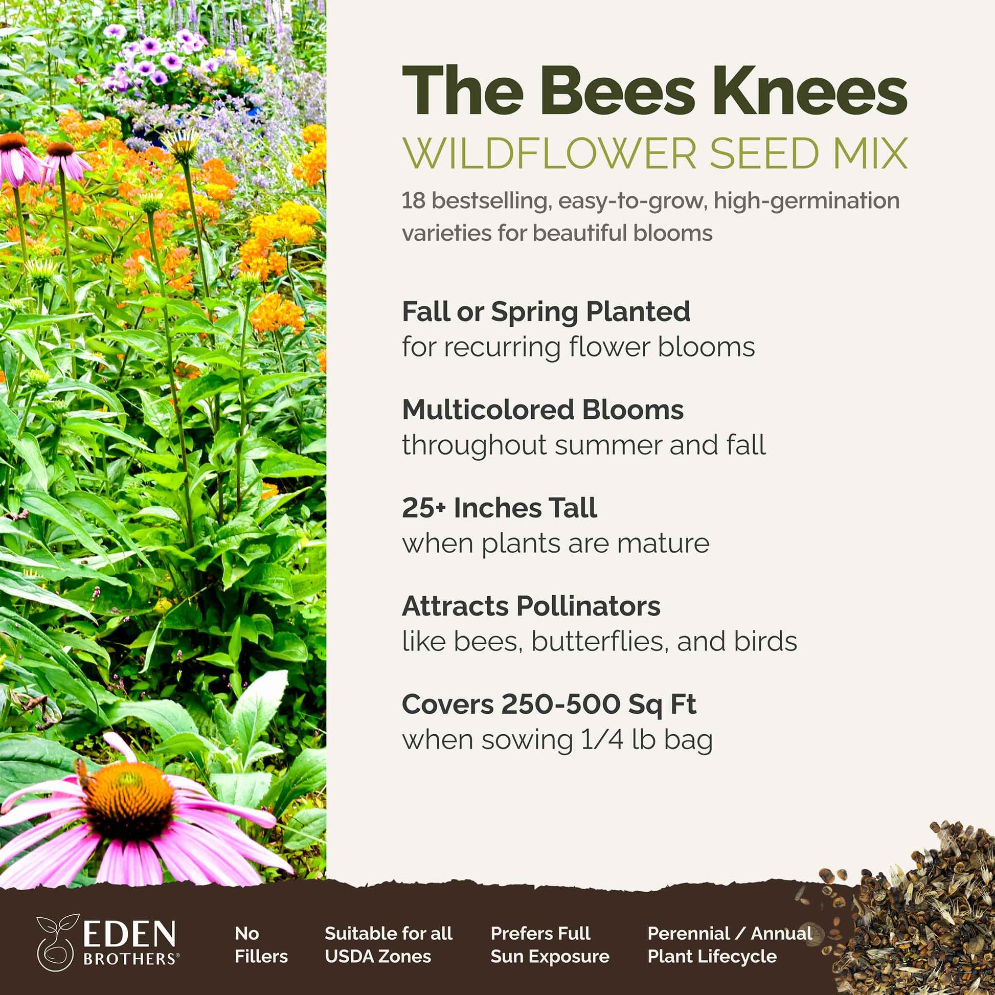 A visual overview of the wildflower seed mix, showcasing expected floral blooms.