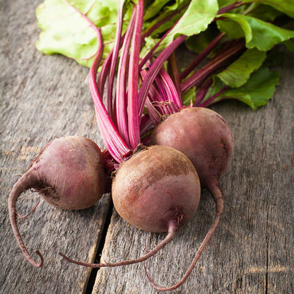 A cluster of lutz green leaf beetroots with slender stems, freshly harvested.