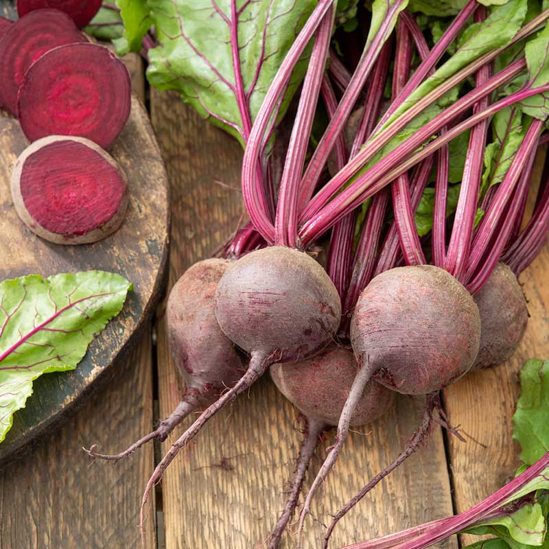 A cluster of detroit dark red beetroots with slender stems, freshly harvested. | copyright: Floramedia UK Ltd