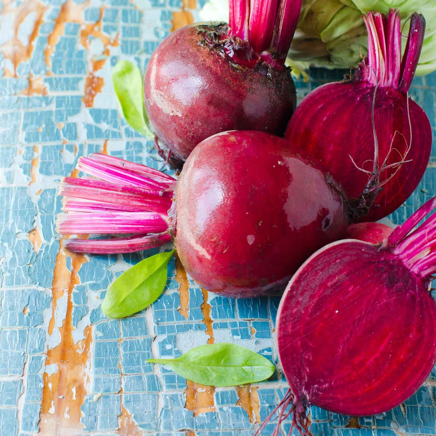 A vibrant ruby queen early wonder beet with green leaves and root tendrils rests on a neutral background.