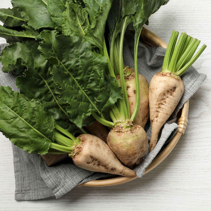A close-up view of three sugar beets with a light brown skin and white flesh.