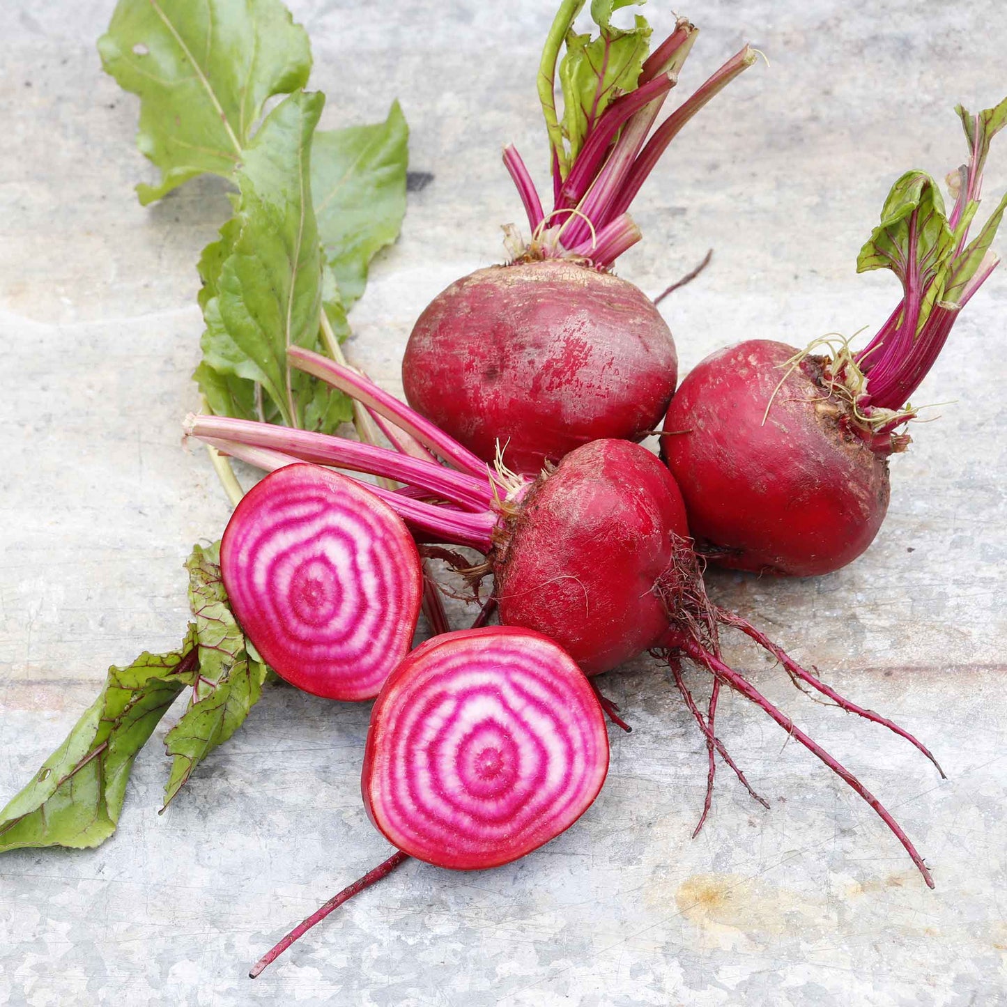 A red and white striped chioggia beet with green leaves, partially cut to show its interior.